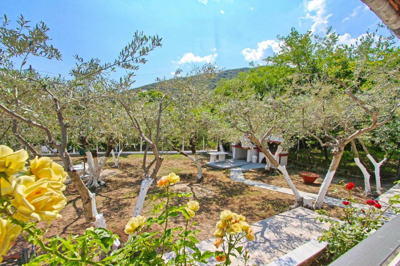 הוילה Nea Iraklitsa The House Of Olive Trees מראה חיצוני תמונה